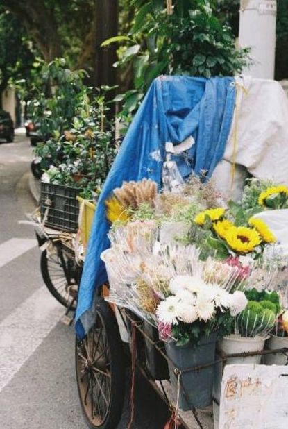 Missionsfoto - lokale Blumen