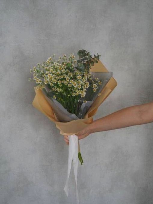 Premium-Paket